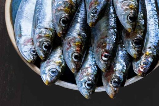 Plato de sardinas frescas
