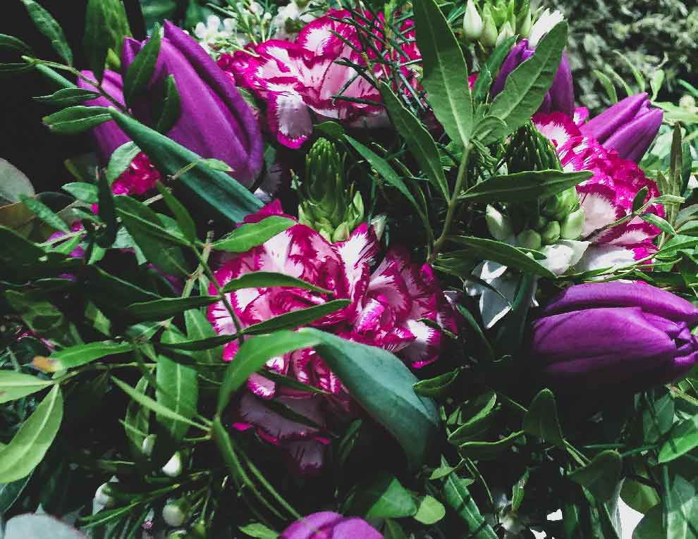 10 flores comestibles de tu jardín o terraza | Mireia Casamada
